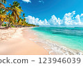 Panoramic view of a tropical beach with turquoise water, white sand, and palm trees under a bright blue sky 123946039