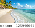 Panoramic view of a tropical beach with turquoise water, white sand, and palm trees under a bright blue sky 123946041