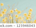 Bright yellow daffodils in full bloom, standing tall under soft daylight with a blurred sky background, evoking the warmth and joy of springtime 123946043