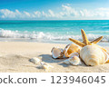 Seashells and starfish on white sandy beach with turquoise waves and blue sky in the background 123946045