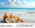 Seashells and starfish on white sandy beach with turquoise waves and blue sky in the background 123946047