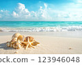 Seashells and starfish on white sandy beach with turquoise waves and blue sky in the background 123946048