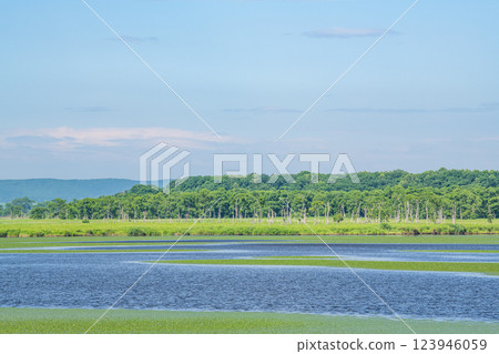 Somewhere in Hokkaido: A beautiful lake (swamp) and blue sky (natural image) 123946059