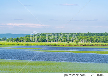 北海道某處，美麗的湖泊（沼澤）和藍天（自然圖像） 123946060
