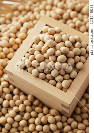 正方形的大豆 123946081