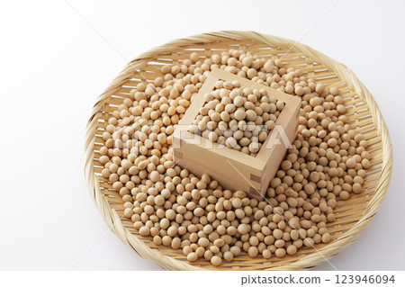 正方形的大豆 123946094