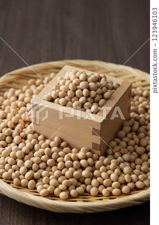 正方形的大豆 正方形的大豆 123946103