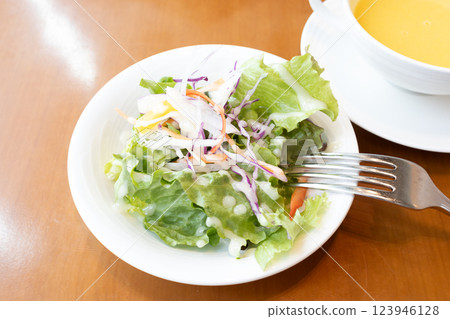 美味的生蔬菜沙拉和湯 123946128