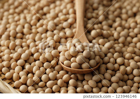 大豆 大豆 123946146