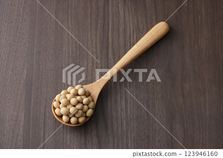 大豆 大豆 123946160