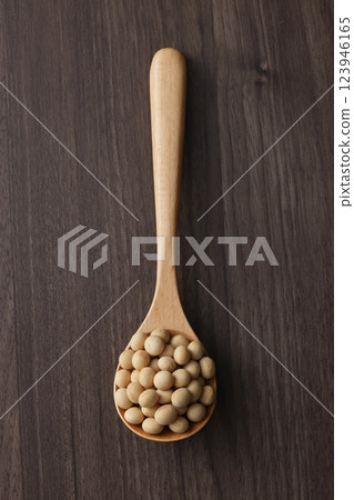 soy 123946165