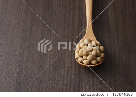 soy 123946168