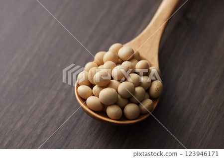 soy soy 123946171
