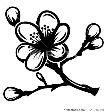 Delicate Cherry Blossom Branch with Buds and Petals in Black and White Design 123946491
