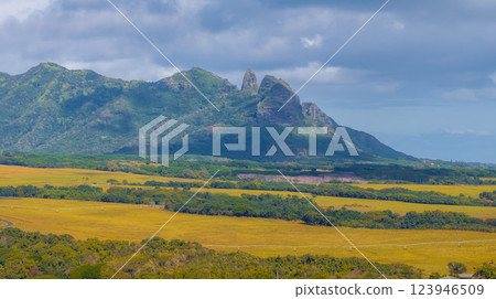 Lush green landscape of Kauai with the Sleeping Giant ridge in the background, golden fields in the foreground, and a partly cloudy sky above. 123946509