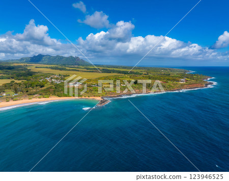Aerial view of Kauai Island, Hawaii, showing golden beaches, turquoise waters, lush greenery, scattered buildings, and rugged mountains under a cloudy sky. 123946525