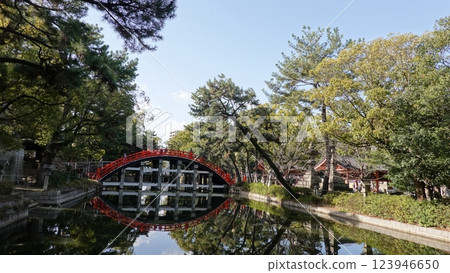 Wooden arch bridge Wooden arch bridge 123946650