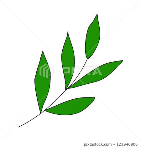 Green leaves growing on branch with white background, vector 123946906