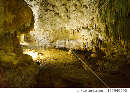 [Shoryudo] Limestone cave, Okinoerabu Island 123946990