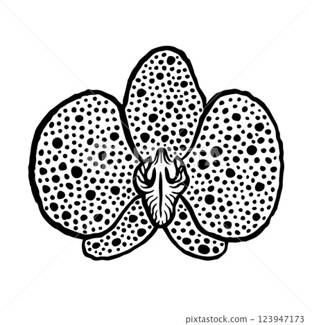 Spotted phalenopsis orchid single flower front view. Ink black hand drawn vector illustration on white background. 123947173