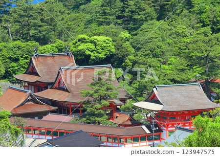 [Shimane Prefecture] Panoramic view of Misaki Shrine on a clear day 123947575