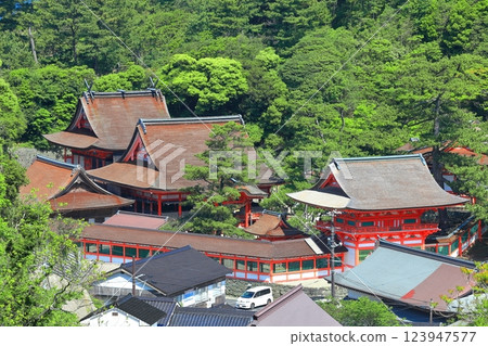 [Shimane Prefecture] Panoramic view of Misaki Shrine on a clear day 123947577