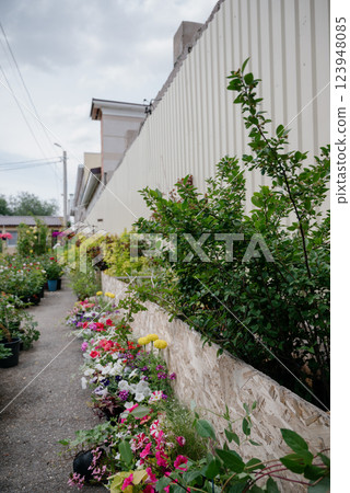 Variety of plants and flowers at flower market, selective focus on flowers. Garden center for the sale of plants. Variety of plants and flowers at flower market, selective focus on flowers. Garden center for the sale of plants. 123948085