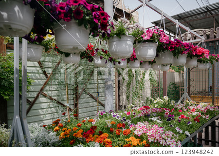 Variety of plants and flowers at flower market, selective focus on flowers. Garden center for the sale of plants. Variety of plants and flowers at flower market, selective focus on flowers. Garden center for the sale of plants. 123948242