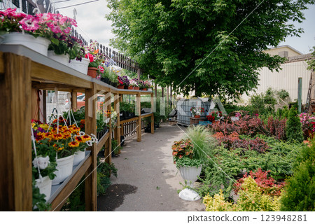 Variety of plants and flowers at flower market, selective focus on flowers. Garden center for the sale of plants. 123948281