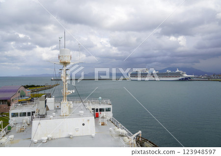 從八甲田丸號上俯瞰鑽石公主號 123948597