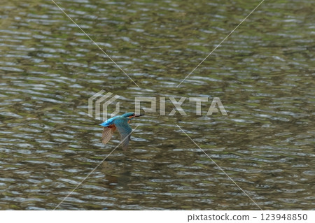 Landscape of the water surface where a kingfisher flies Landscape of the water surface where a kingfisher flies 123948850
