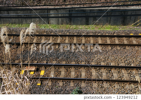 A double-track local railway line covered with gravel A double-track local railway line covered with gravel 123949212