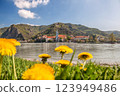 Durnstein village with Danube river and dandelions during spring time in Wachau, Austria 123949486