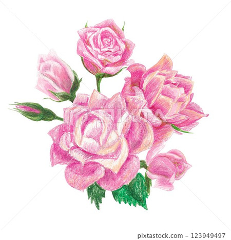 Isolated handdrawn illustration with roses 123949497