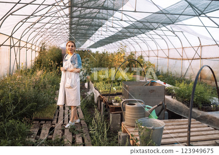 Closeup of a young attractive female farmer checking the ripe fruits of black tomatoes 123949675