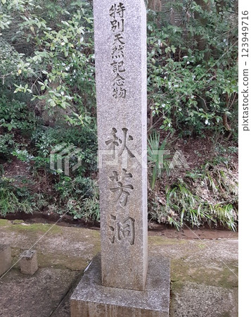 <Yamaguchi Prefecture> Special Natural Monument Building Akiyoshi Cave 123949716