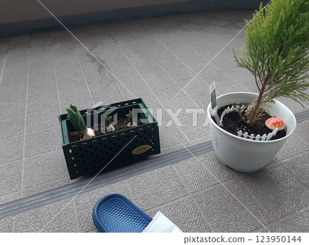 陽台植物,花盆,公寓陽台 陽台植物,花盆,公寓陽台 123950144