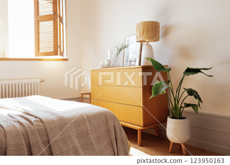 A laconic wooden chest of drawers with a lamp and household items in the bedroom. Modern and cozy interior. A large pot with a houseplant. 123950163