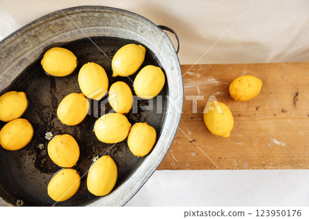Juicy fresh lemons and daisies in water in a vintage metal basin. Top view. Wooden retro bench with yellow citrus fruits. White fabric in the background. 123950176