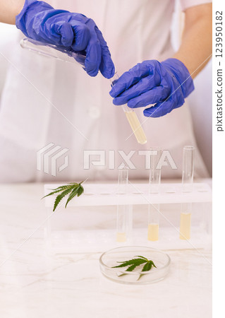 A close-up of a hand in a blue glove holding a laboratory test tube. A close-up of a hand in a blue glove holding a laboratory test tube. 123950182
