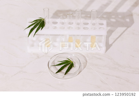 Laboratory test tubes with yellow liquid and a round glass medical container with a cannabis leaf on a beige background. Laboratory instruments with hemp leaves on a marble table. 123950192