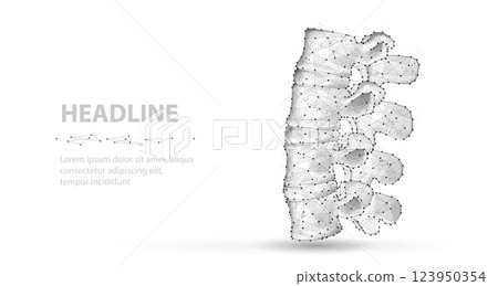 3d spine vector isolated on white. Chiropractic care, spinal cord, orthopedic surgery. 3d spine vector isolated on white. Chiropractic care, spinal cord, orthopedic surgery. 123950354