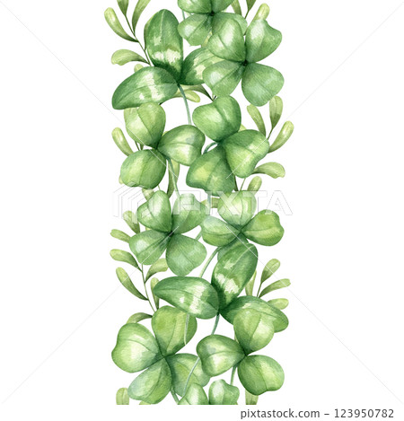 Watercolor clover leaf and meadow herbs vertical seamless banner isolated background. Green wildflower leaves illustration for St. Patrick day textile, holiday package, wrapping paper, kitchen canvas 123950782