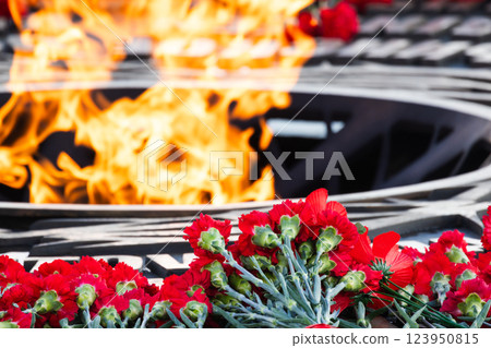 Close up photo of Eternal flame burning brightly with red flowers 123950815