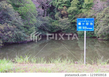 兵庫縣洲本市龍谷池 123950918