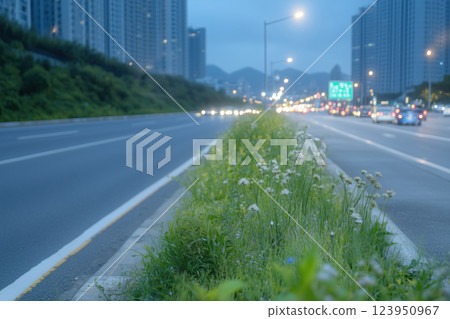 grass median strip on the road at night in modern city 123950967