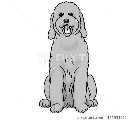 Standard poodle simple dog illustration 123951011