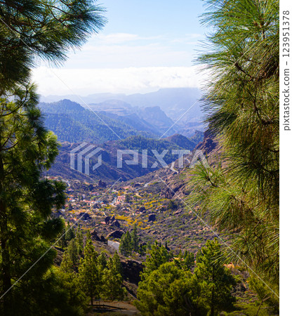 Canary pine trees framing picturesque mountain valley landscape in gran canaria 123951378