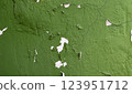 Peeling green paint on a cracked wall surface, showcasing texture and weathered details. Perfect for backgrounds 123951712