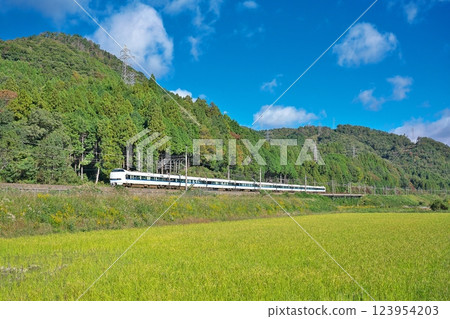 【行駛於湖西線的雷鳥683係】攝於滋賀縣高島市牧野町海津 123954203